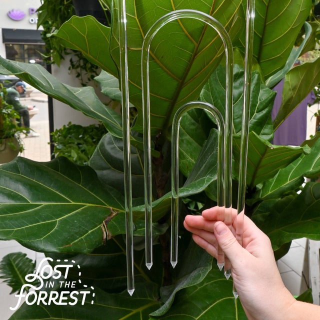 Plant Accessories | Fawn & Fern